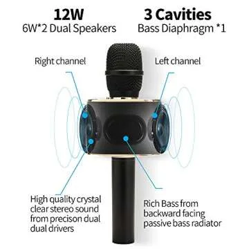 12W Wireless Karaoke Microphone for Parties and Kids
