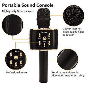 12W Wireless Karaoke Microphone for Parties and Kids