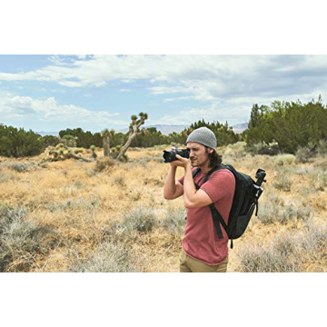 Sony Alpha 6600: Fast Autofocus & 4K Video Recording