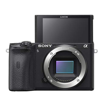 Sony Alpha 6600: Fast Autofocus & 4K Video Recording
