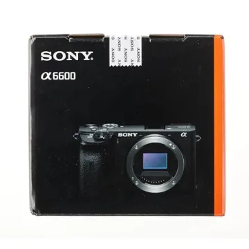 Sony Alpha 6600: Fast Autofocus & 4K Video Recording