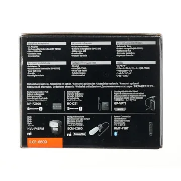 Sony Alpha 6600: Fast Autofocus & 4K Video Recording