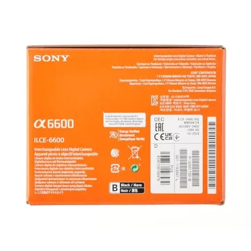 Sony Alpha 6600: Fast Autofocus & 4K Video Recording