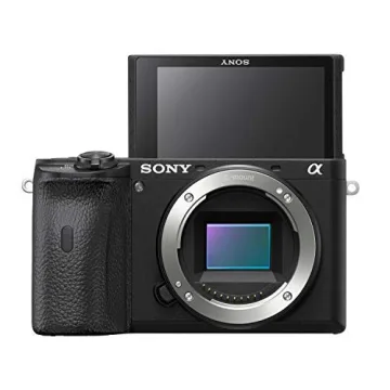 Sony Alpha 6600: Fast Autofocus & 4K Video Recording