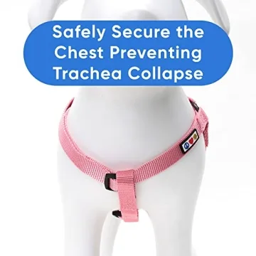Pawtitas Step-in Dog Harness for All Breeds - Adjustable
