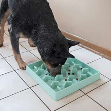 SPORT PET Slow Feed Tray, Aqua