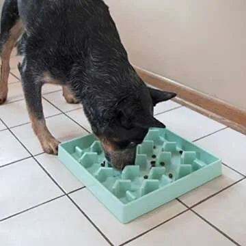 SPORT PET Slow Feed Tray, Aqua