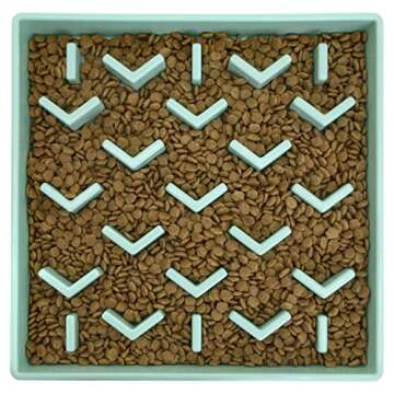 SPORT PET Slow Feed Tray, Aqua