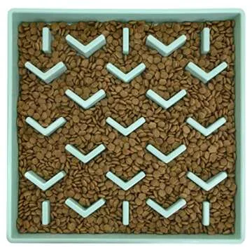 SPORT PET Slow Feed Tray, Aqua