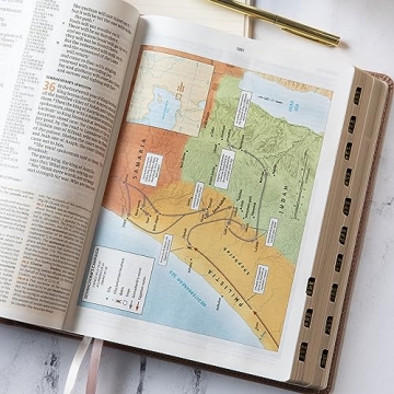 CSB Study Bible - Rose Gold, Indexed, Red Letter Edition