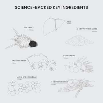 Nutriissa Cycle Support - Premium Kidney & Liver Detox - Organ Defense for Bodybuilders & Weightlifters - EPEB Certified for Purity & Potency - 400mg TUDCA & 1000mg NAC - Vegan, 240 Capsules