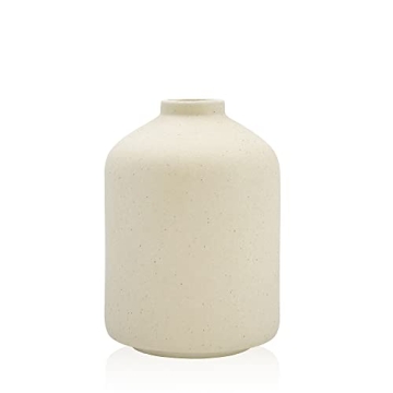 Stylish Ceramic Vase for Elegant Home Decor