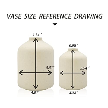 Stylish Ceramic Vase for Elegant Home Decor