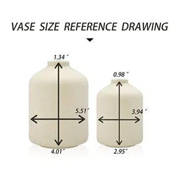 Stylish Ceramic Vase for Elegant Home Decor