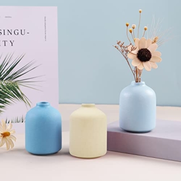 Stylish Ceramic Vase for Elegant Home Decor