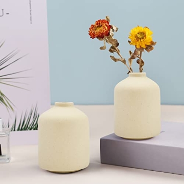 Stylish Ceramic Vase for Elegant Home Decor