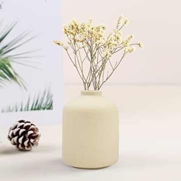 Stylish Ceramic Vase for Elegant Home Decor