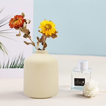 Stylish Ceramic Vase for Elegant Home Decor