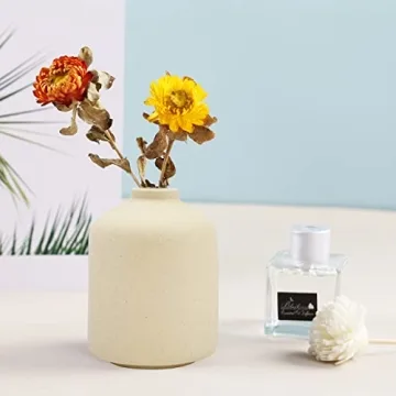 Stylish Ceramic Vase for Elegant Home Decor