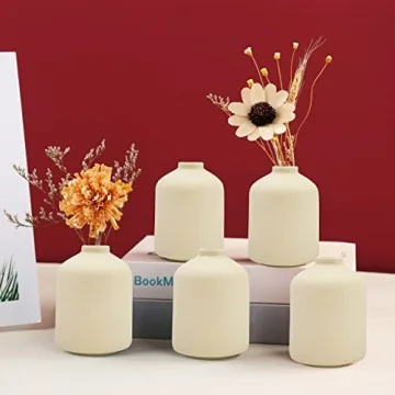 Stylish Ceramic Vase for Elegant Home Decor