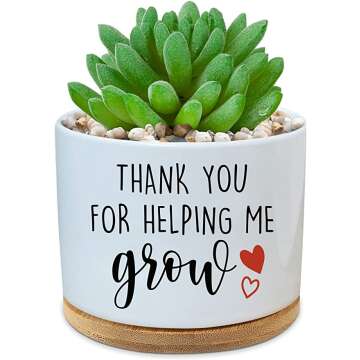 Ceramic Succulent Cactus Planter Saucers for Home Decor