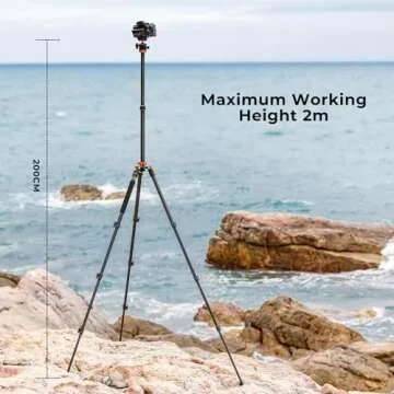 K&F Concept 78 inch Camera Tripod for DSLR Compact Aluminum Tripod with 360 Degree Ball Head and 10KG Load for Travel and Work K234A7+BH-28L (S210)