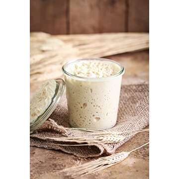 Weck 900 Tall Mold Jar - 1/5 Liter, Set of 6