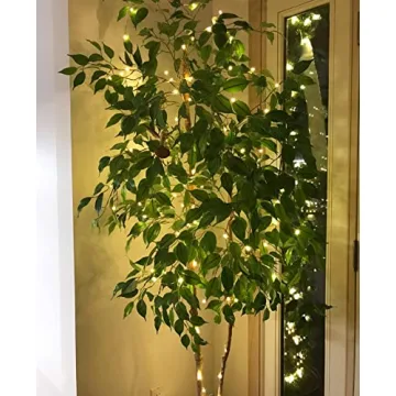 Lighting EVER 66 ft Plug in Fairy Lights 200 LED