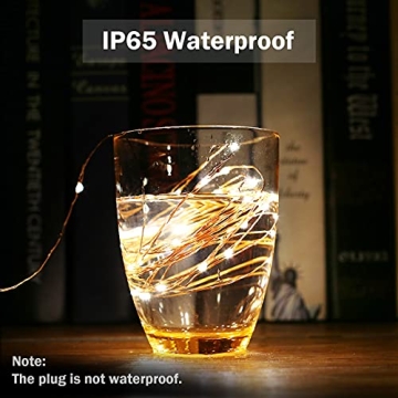 Lighting EVER 66 ft Plug in Fairy Lights 200 LED