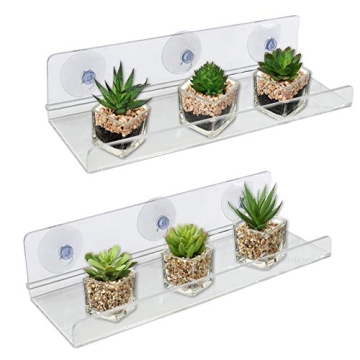 Tree 12 Inch Window Shelf for Indoor Plants - 2 Pack