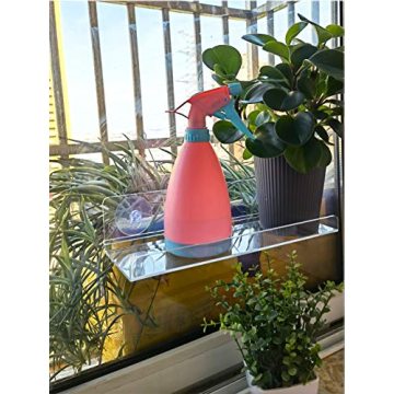 Tree 12 Inch Window Shelf for Indoor Plants - 2 Pack