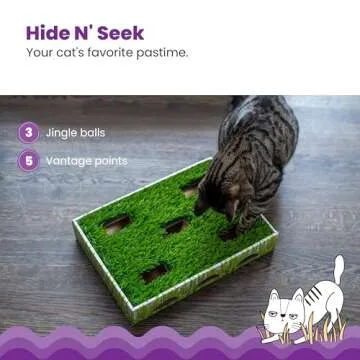 Catstages Grass Patch Hunting Box Cat Toy