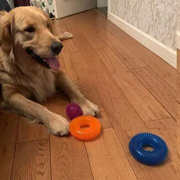 6 Pack Non-Toxic Dog Squeaky Balls for Fetch and Play