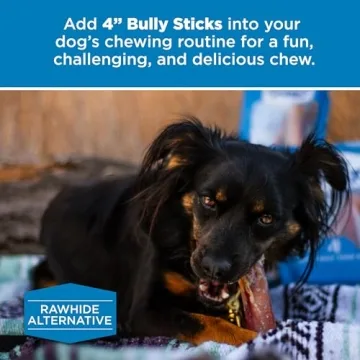 Best Bully Sticks 4 Inch Natural Dog Treats