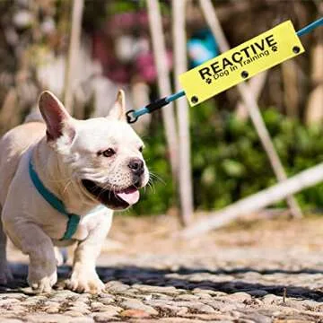 JXGZSO Reactive Dog Leash Sleeve for Training Safety