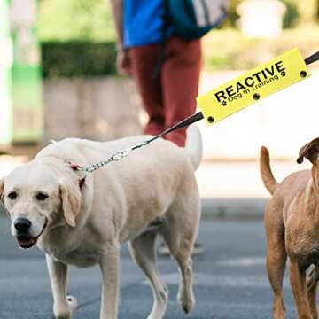 JXGZSO Reactive Dog Leash Sleeve for Training Safety