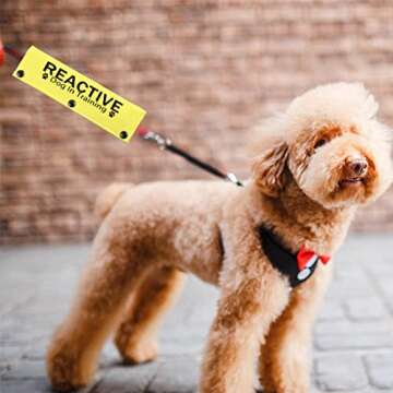 JXGZSO Reactive Dog Leash Sleeve for Training Safety