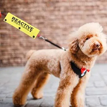 JXGZSO Reactive Dog Leash Sleeve for Training Safety