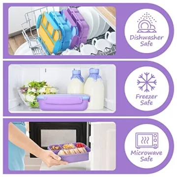 QQKO Bento Lunch Box - Fun and Functional for School