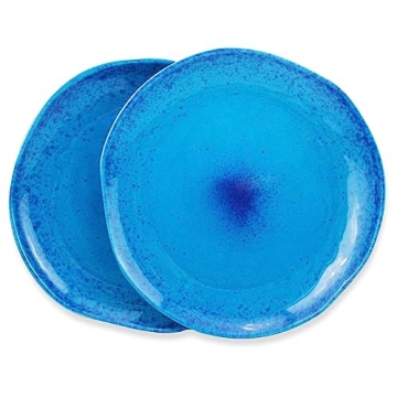 Set of 2 Elegant Handmade Blue Speckled Dinner Plates - roro Ceramic Stoneware