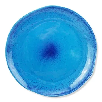 Handmade Blue Speckled Dinner Plates Set of 2 for Ideal Dining