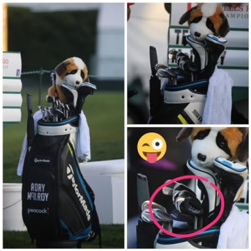 GForce Swing Trainer for Perfecting Your Golf Swing