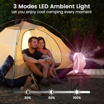 BURLAN Cordless Desk Fan - Quiet, Portable, LED Light