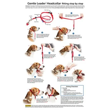 Gentle Leader Dog Collar - Stylish No-Pull Training Solution
