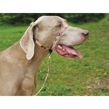 Gentle Leader Dog Collar - Stylish No-Pull Training Solution