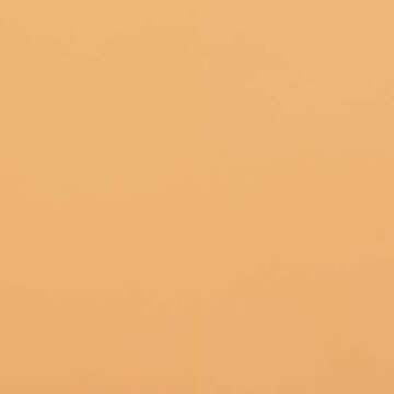 Martha Stewart Gloss Wild Salmon Spray Paint 8oz