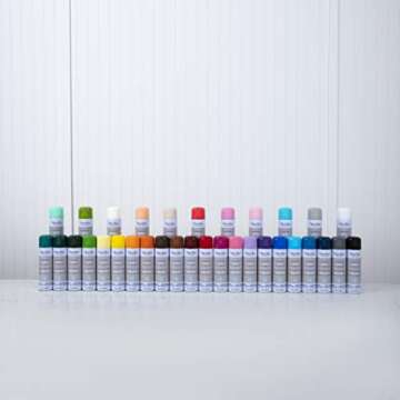 Martha Stewart Gloss Wild Salmon Spray Paint 8oz