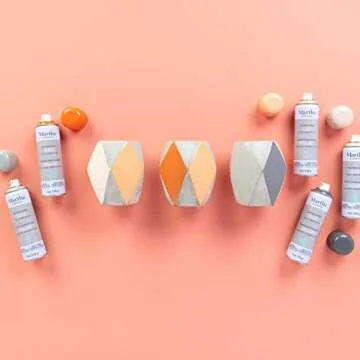 Martha Stewart Gloss Wild Salmon Spray Paint 8oz