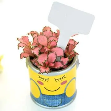Durable T-Type Plant Labels for Garden Use – 100pcs