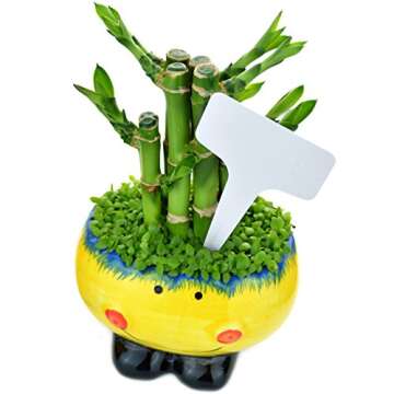 Durable T-Type Plant Labels for Garden Use – 100pcs